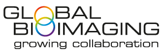 Logos GlobalBio RGB