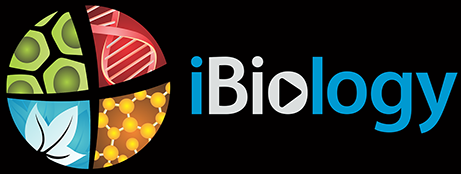 ibiology logo crop